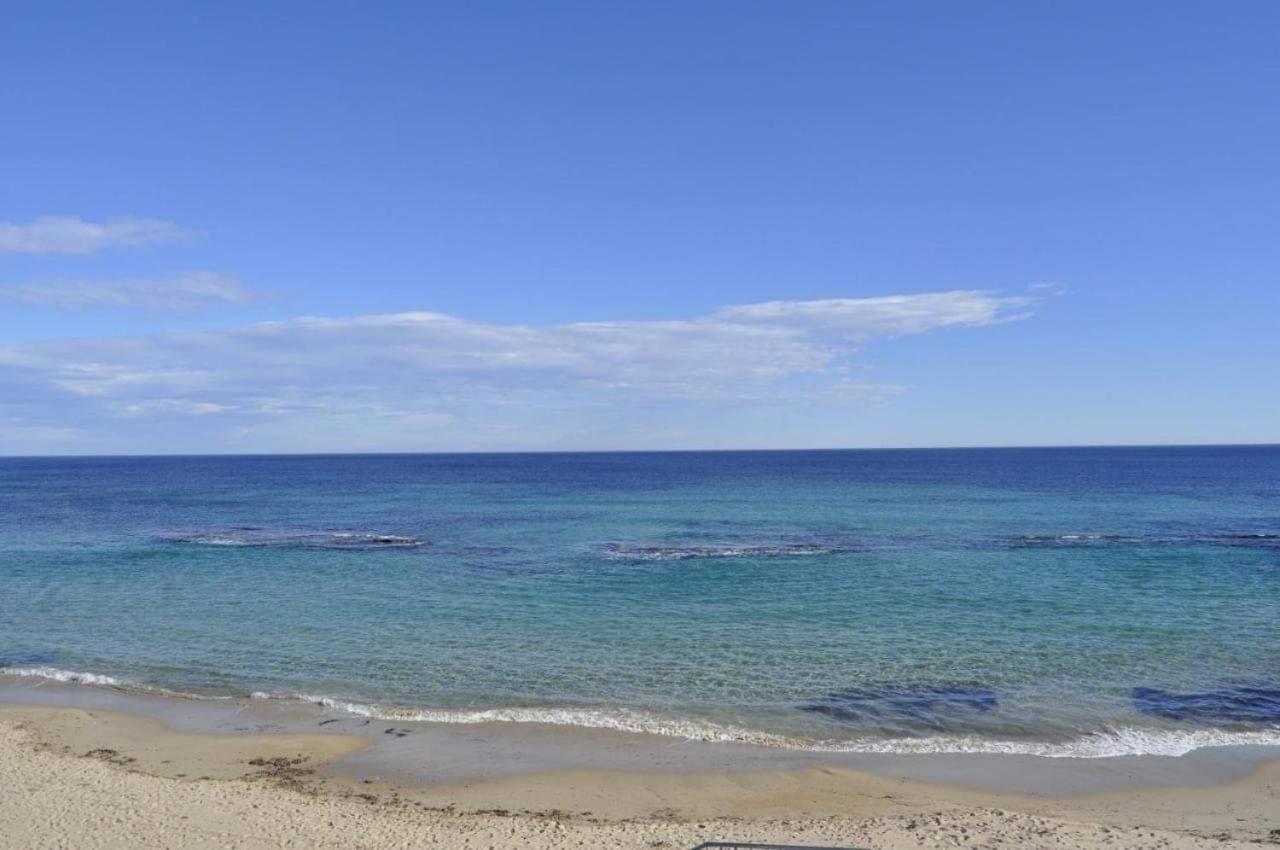 Appartement Mil Palmeras Torre de la Horadada المظهر الخارجي الصورة