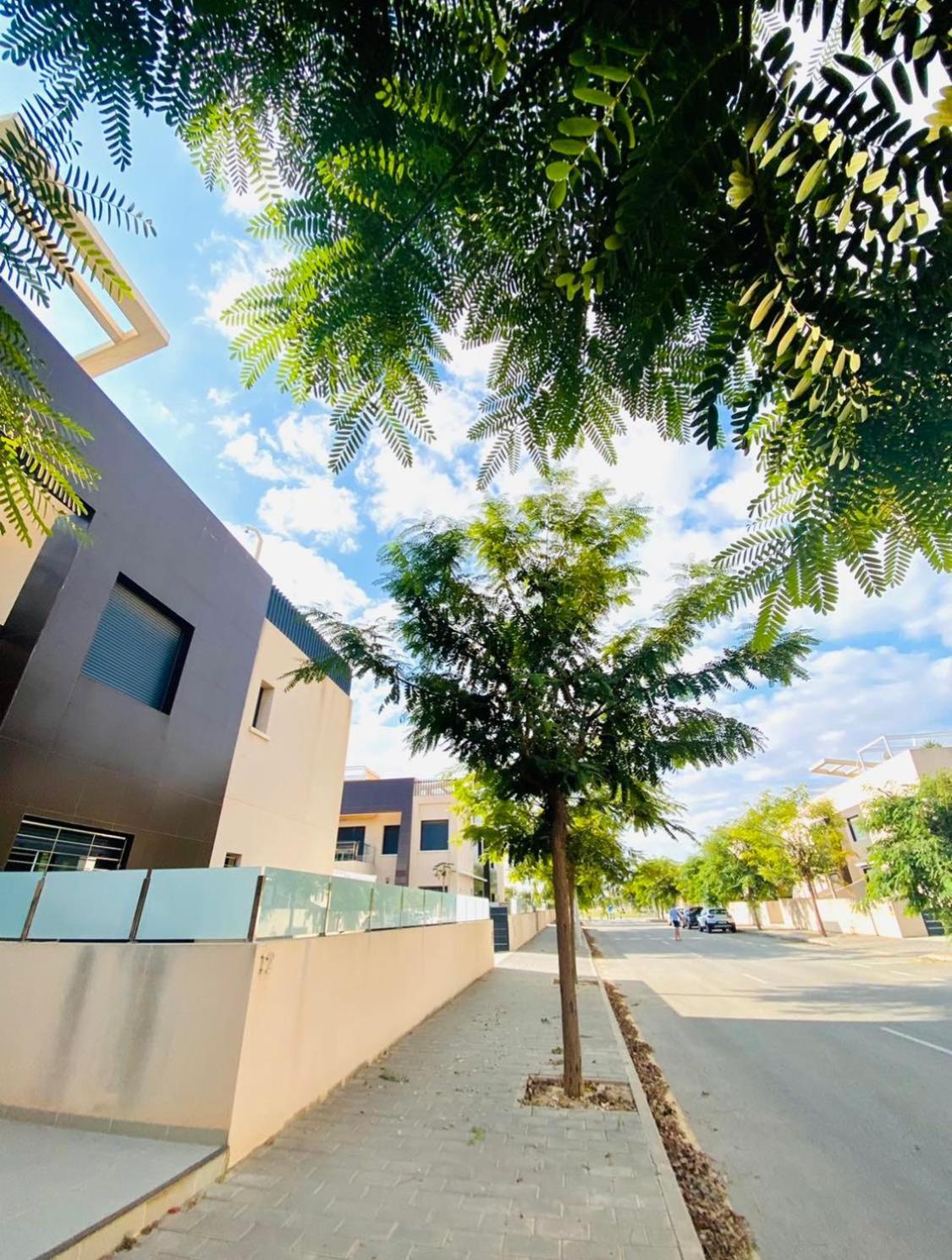 Appartement Mil Palmeras Torre de la Horadada المظهر الخارجي الصورة